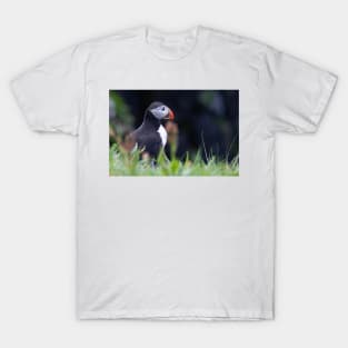 Puffin on a clifftop T-Shirt